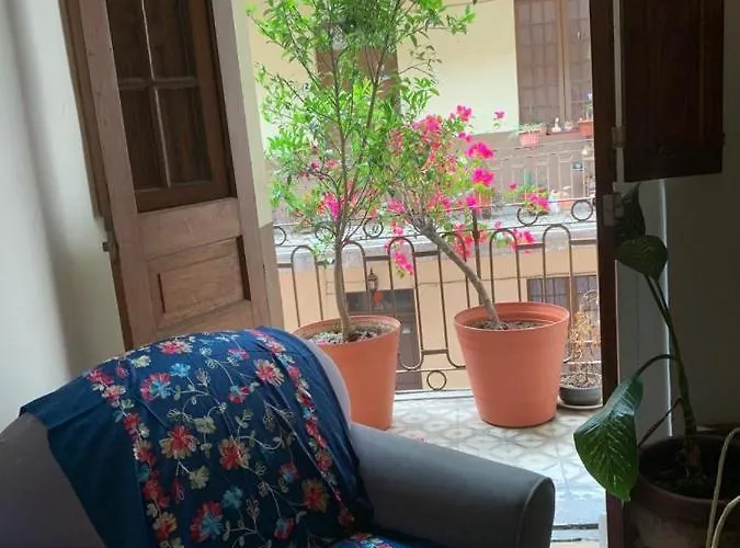 Spacious And Stylish Suite Mexico City